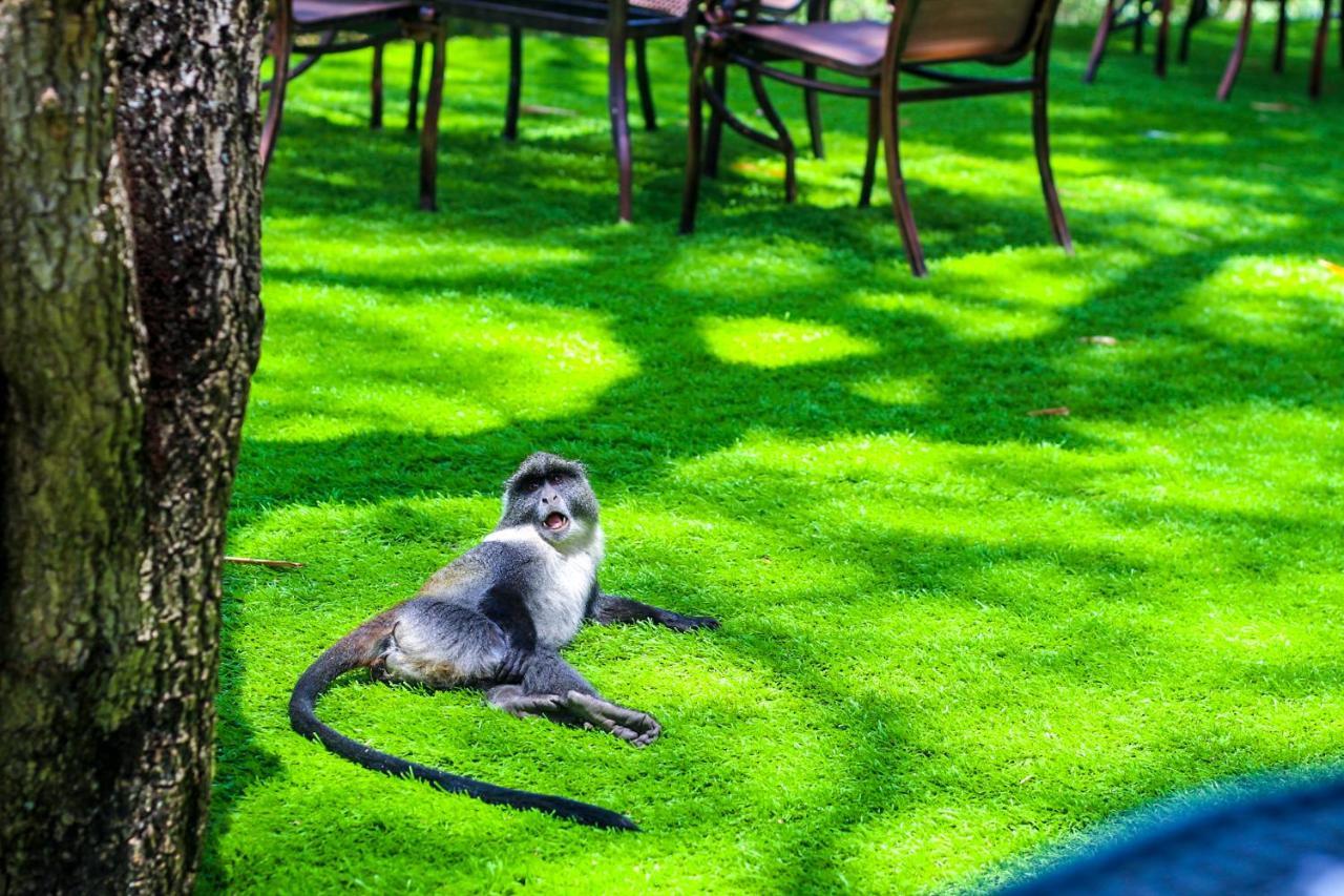 West Wood Hotel Nairobi Extérieur photo